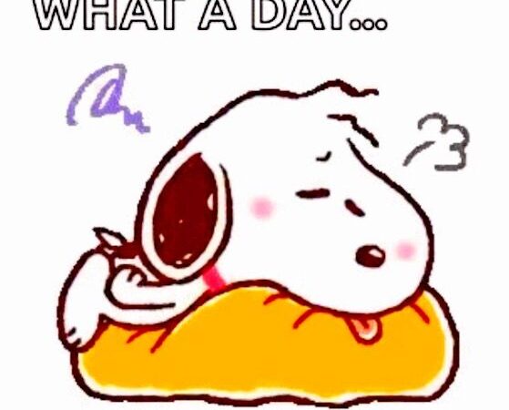 WHAT A DAY!